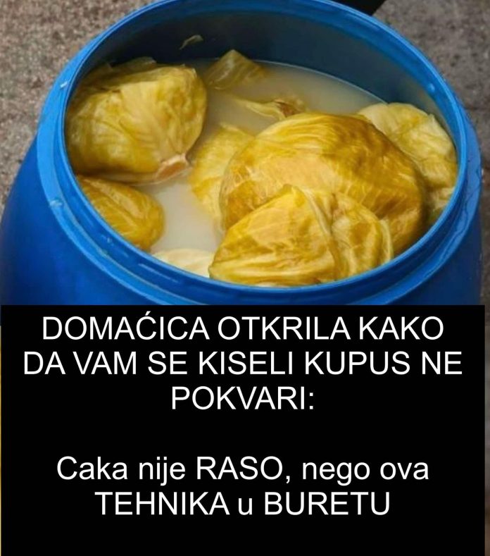 DOMAĆICA OTKRILA KAKO DA VAM SE KISELI KUPUS NE POKVARI Caka nije RASO