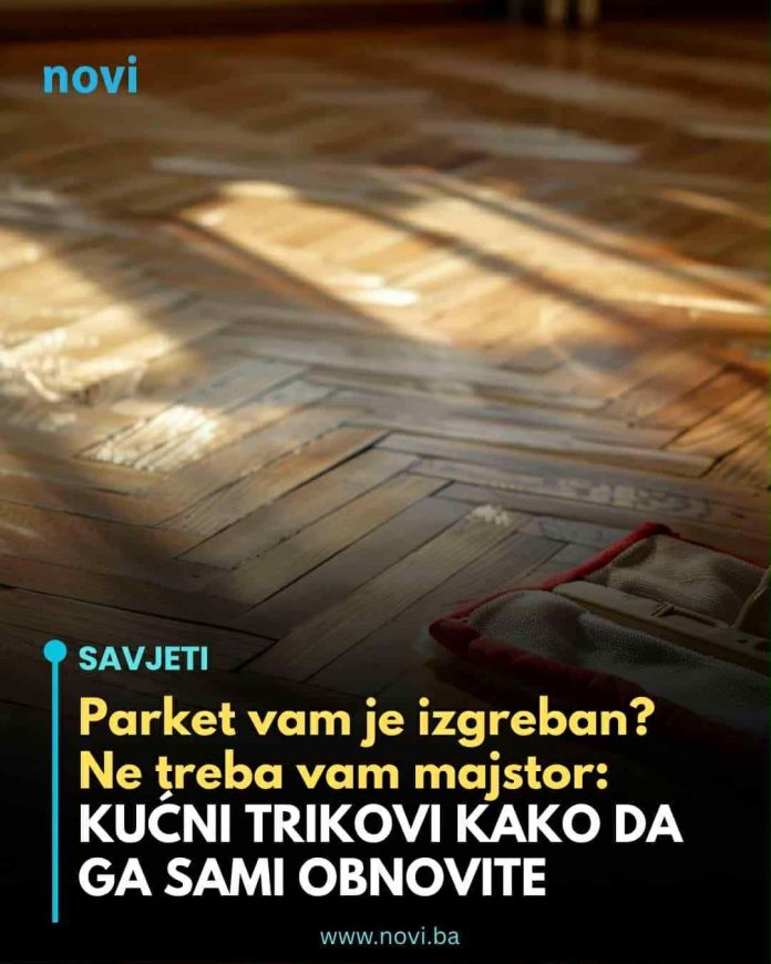 571252577_1410959733930019_3133383767058365154_n