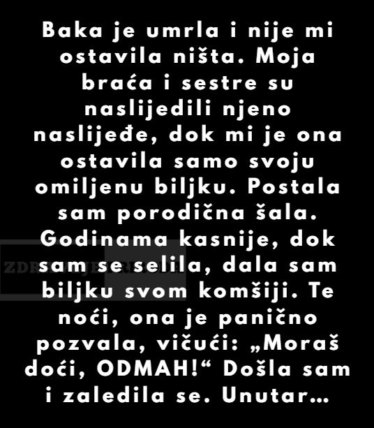 571282649_1263049582525256_3232115623631981021_n