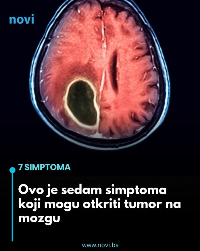 571338817_1410475257311800_6724032340130491012_n