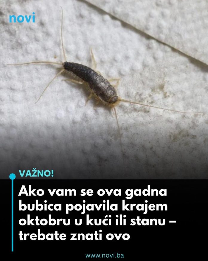 571341189_1410557993970193_686149404876201108_n