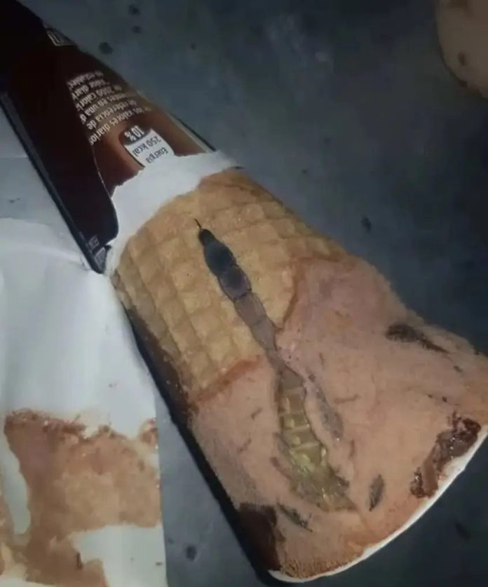 572265013_1462925582015488_7619459589899161687_n