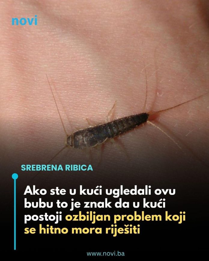 572404304_1411989940493665_8020476757623231106_n