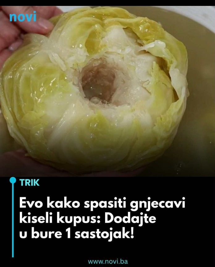 574900856_1410970623928930_852322674427278861_n