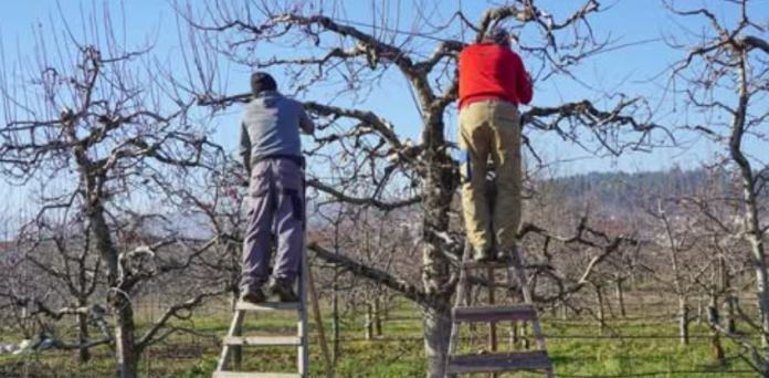 Screenshot 2025-10-30 064604